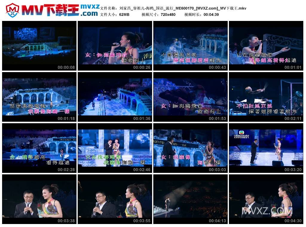 刘家昌_容祖儿-海鸥_国语_流行_ME600170